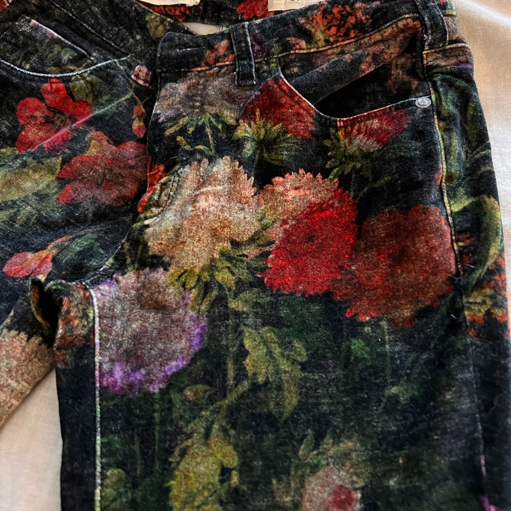 Anthropologie velvet floral print pants.